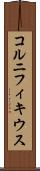 コルニフィキウス Scroll
