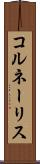 コルネーリス Scroll