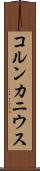 コルンカニウス Scroll