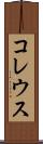 コレウス Scroll