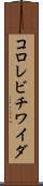 コロレビチワイダ Scroll