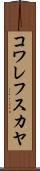 コワレフスカヤ Scroll