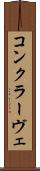 コンクラーヴェ Scroll