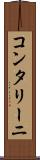 コンタリーニ Scroll