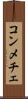 コンメチェ Scroll
