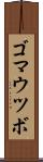 ゴマウツボ Scroll
