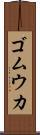ゴムウカ Scroll