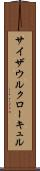 サイザウルクローキュル Scroll
