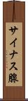 サイナス腺 Scroll