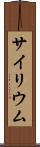 サイリウム Scroll