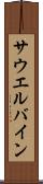サウエルバイン Scroll