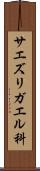 サエズリガエル科 Scroll