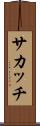 サカッチ Scroll