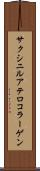 サクシニルアテロコラーゲン Scroll