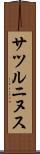 サツルニヌス Scroll