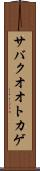 サバクオオトカゲ Scroll
