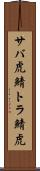 サバ虎 Scroll