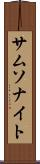 サムソナイト Scroll