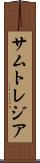 サムトレジア Scroll