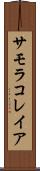 サモラコレイア Scroll