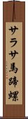 サラサ馬蹄螺 Scroll
