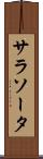 サラソータ Scroll