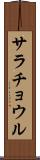 サラチョウル Scroll