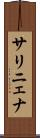 サリニェナ Scroll