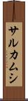 サルカムシ Scroll