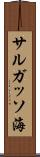 サルガッソ海 Scroll