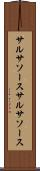 サルサソース Scroll