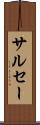 サルセー Scroll