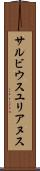 サルビウスユリアヌス Scroll