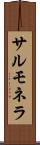 サルモネラ Scroll