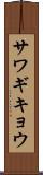サワギキョウ Scroll