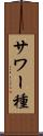 サワー種 Scroll