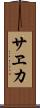サヱカ Scroll