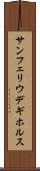 サンフェリウデギホルス Scroll