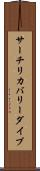 サーチ＆リカバリー・ダイブ Scroll