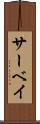 サーベイ Scroll