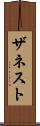 ザネスト Scroll