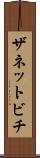 ザネットビチ Scroll