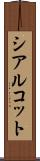 シアルコット Scroll