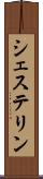 シェステリン Scroll