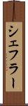 シェフラー Scroll