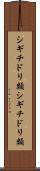 シギチドリ類 Scroll