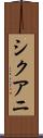 シクアニ Scroll