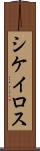 シケイロス Scroll