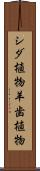 シダ植物 Scroll
