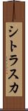 シトラスカ Scroll